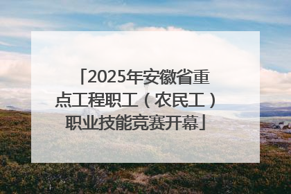 2025年安徽省重点工程职工（农民工）职业技能竞赛开幕